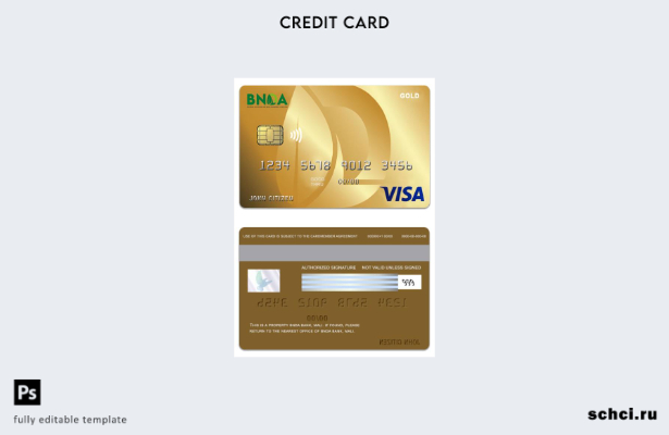 цифровая загрузка шаблона золотой карты Visa Mali BNDA Bank